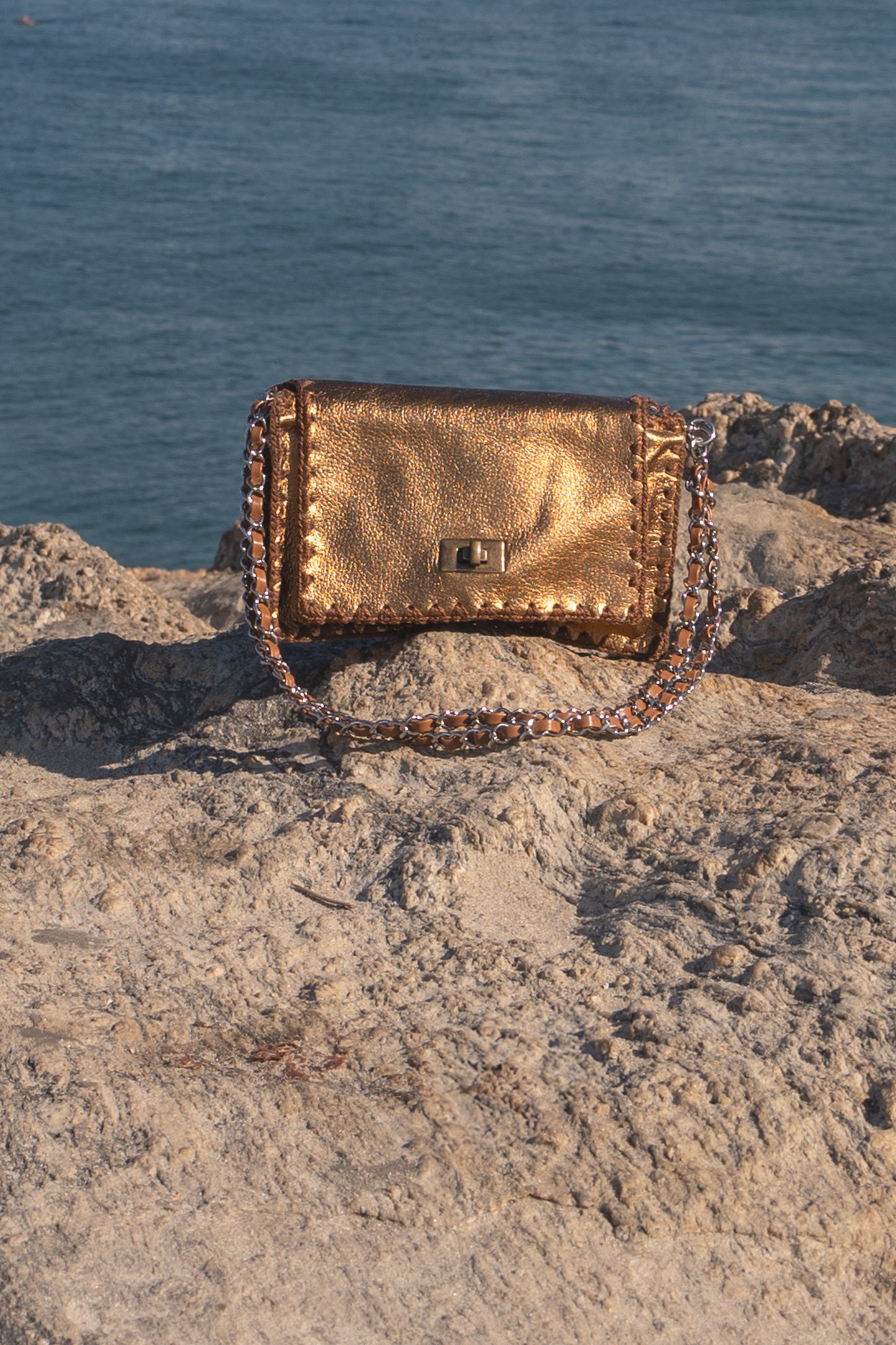 Bolsa Liana + Alça de Corrente e Courino